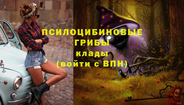 мяу мяу мука Белоозёрский