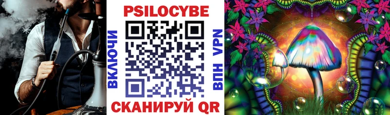 где купить   Гай  Псилоцибиновые грибы мухоморы 